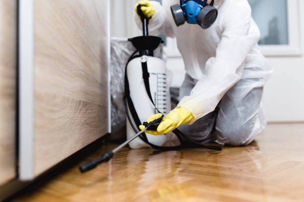 Best Ant Control Services  in Lovejoy, GA