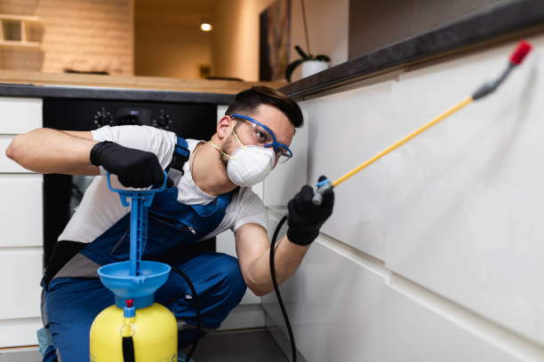 Best Pest Control Near Me  in Lovejoy, GA