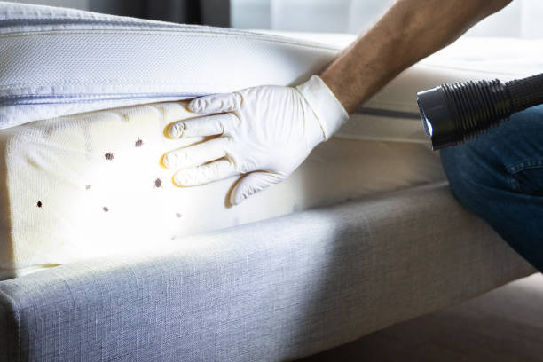 Best Cockroach Control Services  in Lovejoy, GA