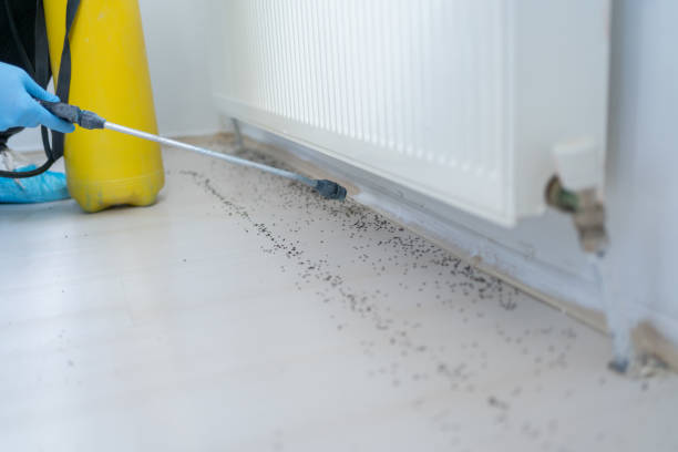 Trusted Lovejoy, GA Pest Control Experts