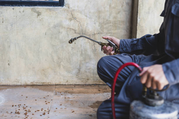 Best Wasp Removal Services  in Lovejoy, GA